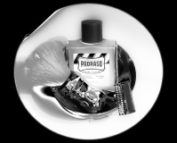 SOTD 07/04/2016