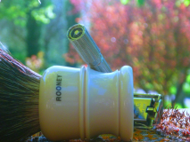 sotd 14.4.2016