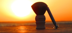 sotd 17.o416