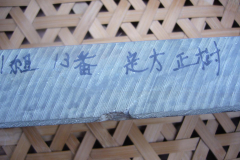 P1020539