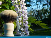 sotd 19.04.16