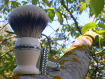 sotd 22.04.2016