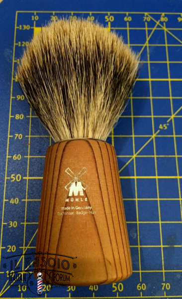 Pino 1