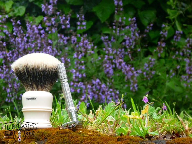sotd 28.4.16