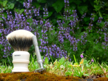 sotd 28.4.16
