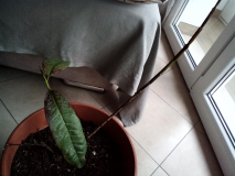 IMG 20160417 091325