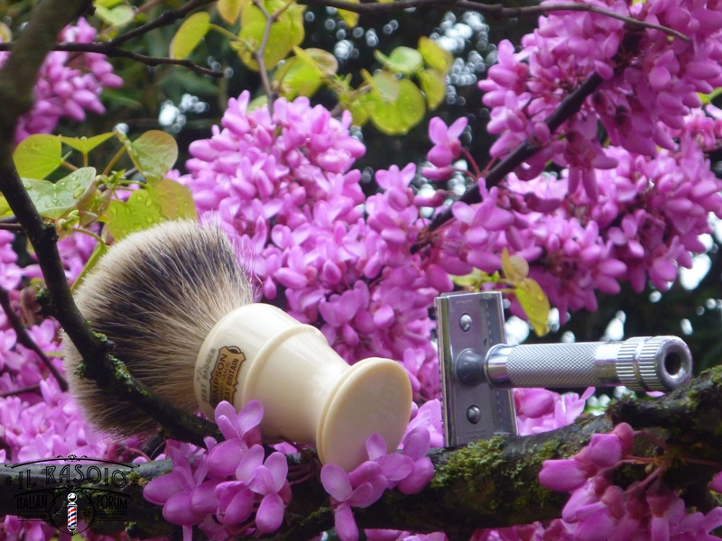 sotd 04.05.16