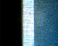 Feather