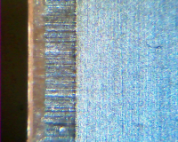 Kismet