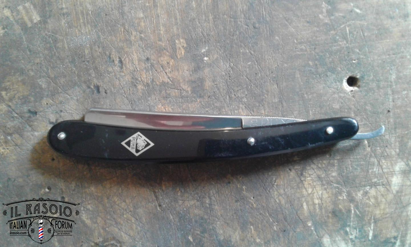 Puma chiuso