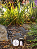 SOTD May 29 2016 1