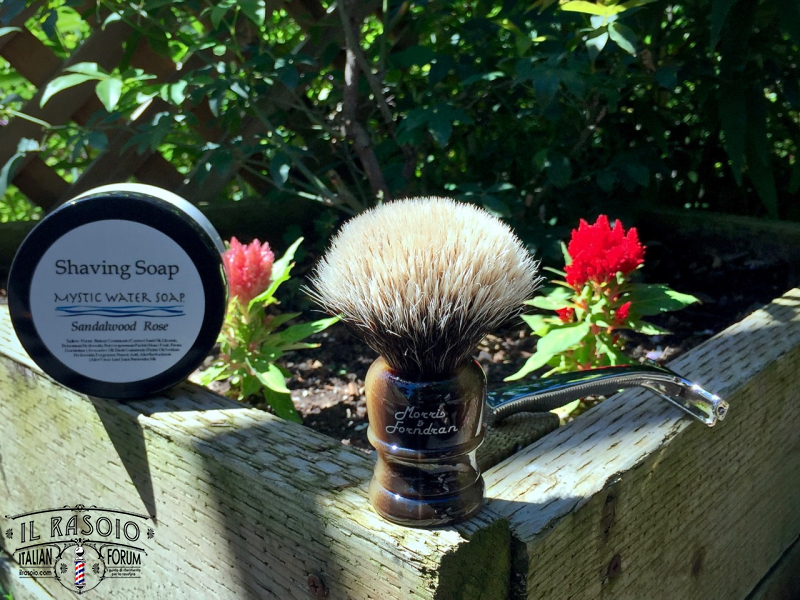SOTD May 31 2016
