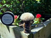 SOTD May 31 2016