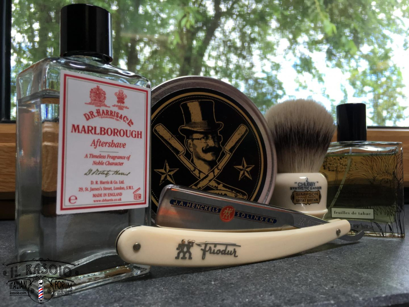 SOTD 3/6/2016