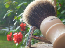 sotd 5.6.16