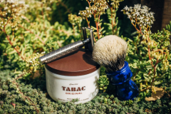 SOTD Jun 8 2016 2