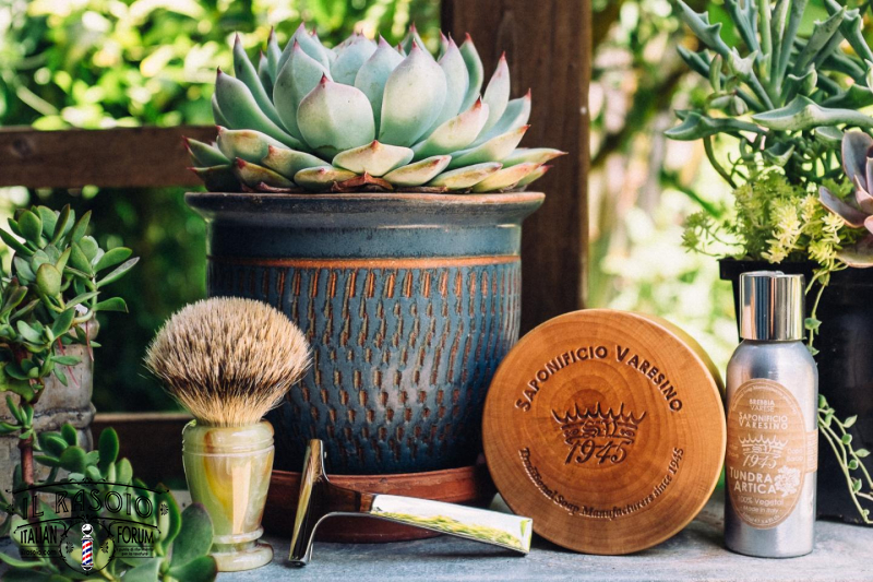 SOTD Jun 9 2016