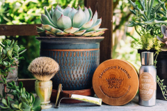 SOTD Jun 9 2016