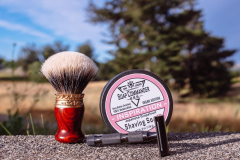 SOTD Jun 11 2016 1
