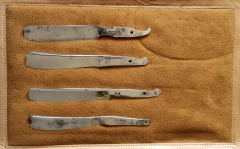 Dobson-Aldam-luna-Salmon 01
