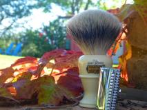 sotd 19.6.16