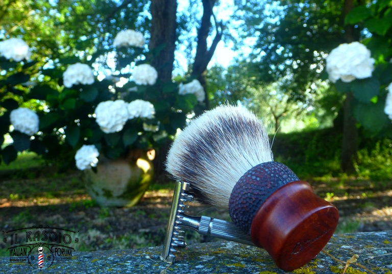 sotd 20.6.16