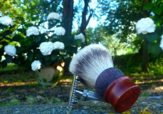 sotd 20.6.16