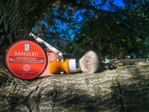 SOTD Jun 21 2016 2