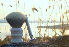 sotd 22.6.2016