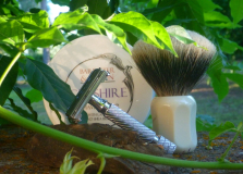 sotd 29.6.16