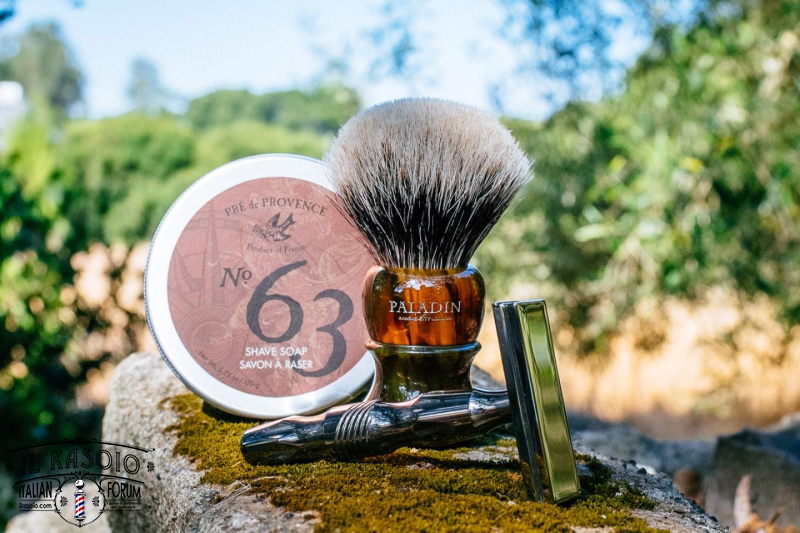 SOTD Jul 1 2016