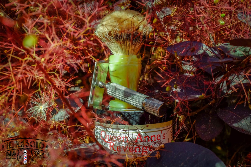 SOTD Jul 3 2016 x