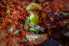 SOTD Jul 3 2016 x
