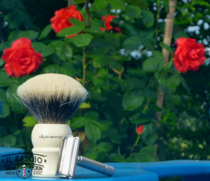 sotd 6.7.16