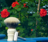 sotd 6.7.16