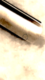 migliorata 3