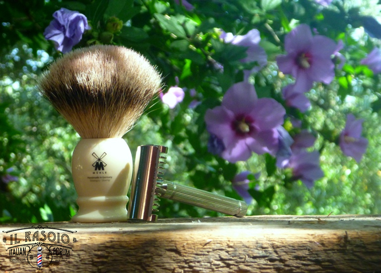 sotd 9.7.16