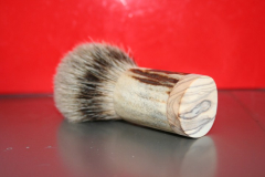 IMG 5275 (Small)