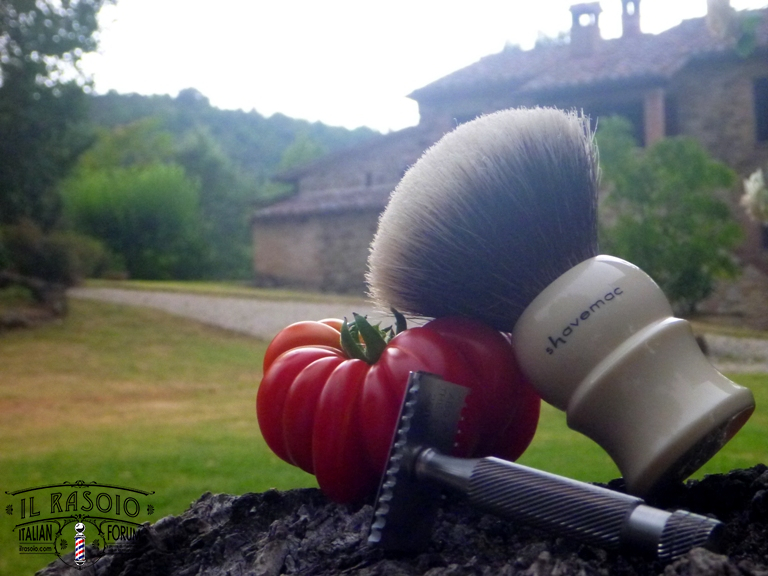 sotd 24.7.16