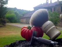 sotd 24.7.16