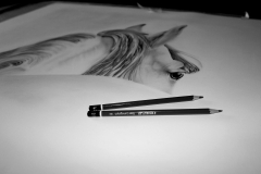 Horse WIP