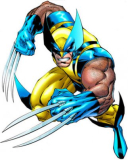 wolverine 03
