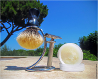 SOTD20160826 Veggente