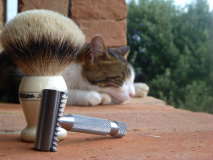 sotd 31.8.2016