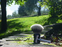 sotd 16.10.16