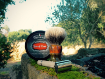 SOTD Oct 18 2016