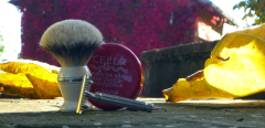 sotd 22.10.16