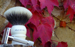 sotd 25.10.16