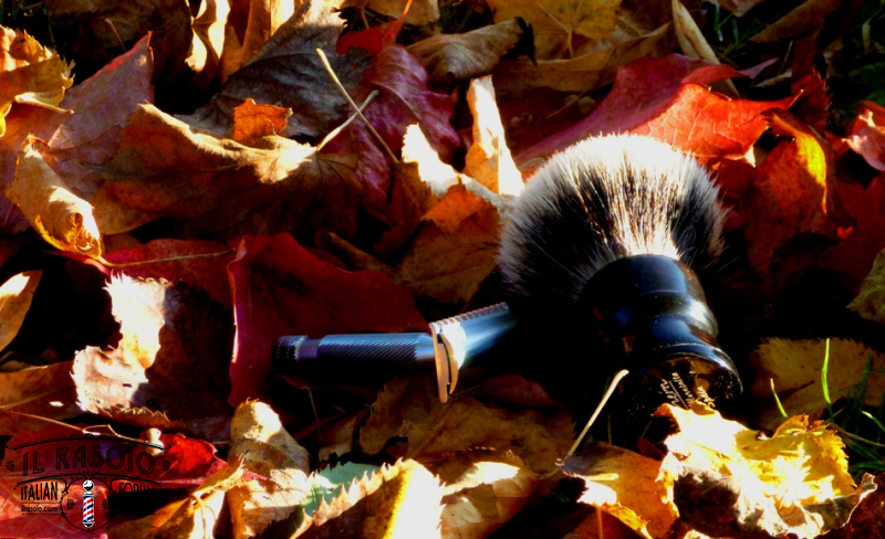 sotd 28.10.16