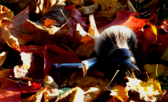 sotd 28.10.16